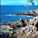 Cali アパート Alcalá la Real